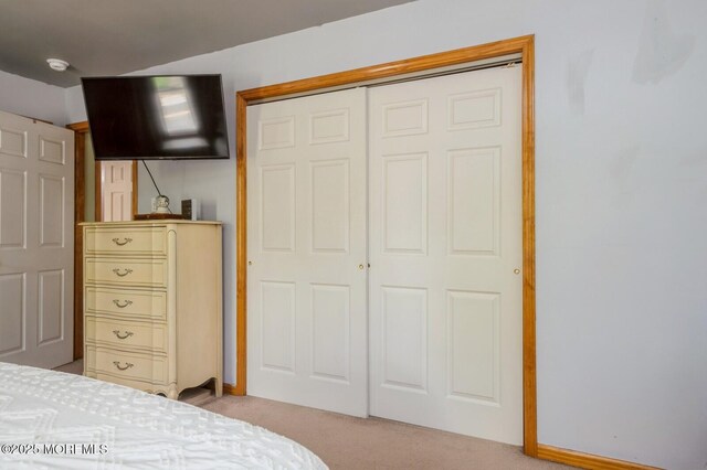 bedroom featuring carpet floors and a closet