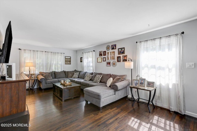733 Colts Neck Rd, Freehold, NJ 07728 - living room featuring dark wood-style flooring