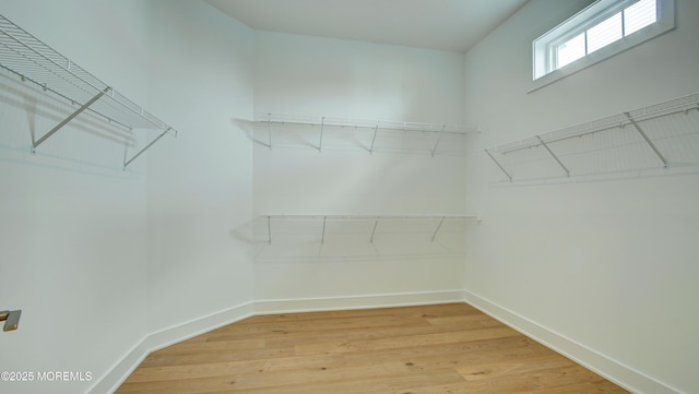 7 Ashlynn Ct, Manalapan, NJ 07726 - spacious closet with light wood-style flooring
