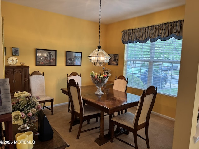 14 Pelican Ln, Little Egg Harbor, NJ 08087 - dining space featuring plenty of natural light, carpet flooring, and baseboards