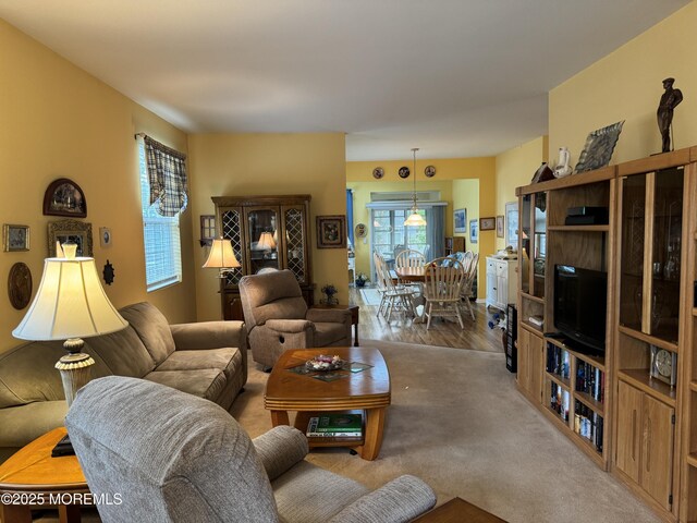 14 Pelican Ln, Little Egg Harbor, NJ 08087 - view of living area