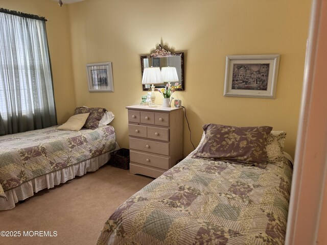 14 Pelican Ln, Little Egg Harbor, NJ 08087 - bedroom with carpet
