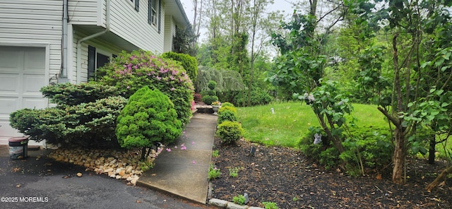 view of yard with an attached garage