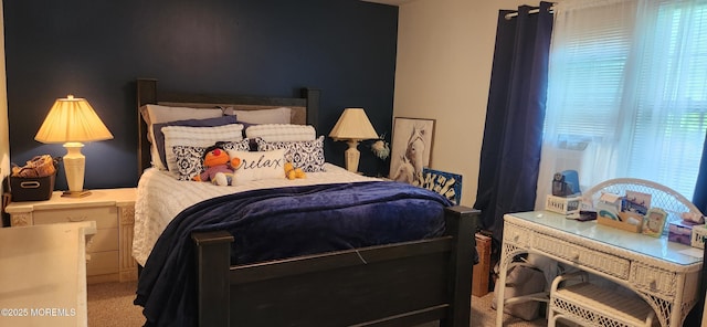 95 Gravel Hill Spotswood Rd, Monroe, NJ 08831 - bedroom featuring carpet flooring