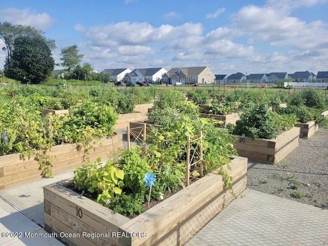 view of community featuring a vegetable garden and a residential view