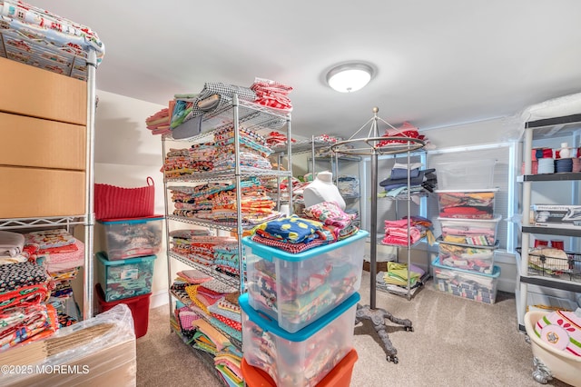 view of storage room
