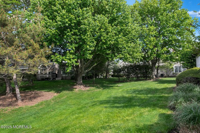 view of grassy yard