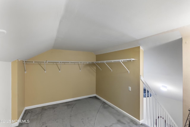 1 Skylark Dr, Jackson, NJ 08527 - walk in closet with vaulted ceiling and carpet flooring