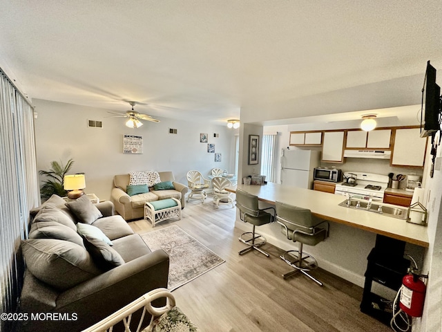 1709 N Rte 35 N Unit 12, Ortley Beach, NJ 08751 - living room featuring ceiling fan, light wood finished floors, and visible vents