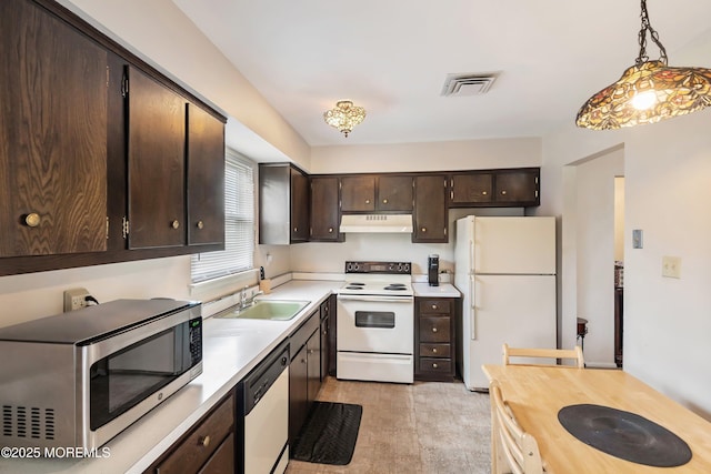 kitchen featuring white appliances, under cabinet range hood, dark brown cabinetry, a sink, and hanging light fixtures