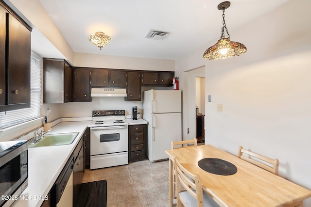 kitchen featuring white appliances, under cabinet range hood, a sink, dark brown cabinetry, and light countertops