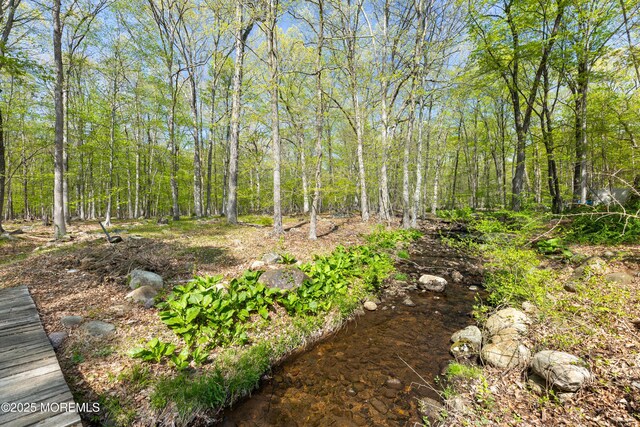 view of undeveloped land