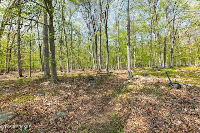 view of woods