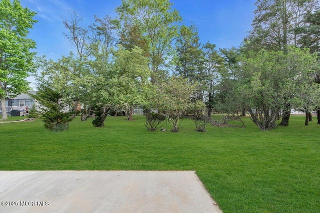10 Norfolk Dr, Toms River, NJ 08757 - photo 56