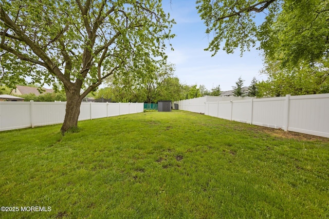 view of yard featuring a storage unit, an outdoor structure, and a fenced backyard
