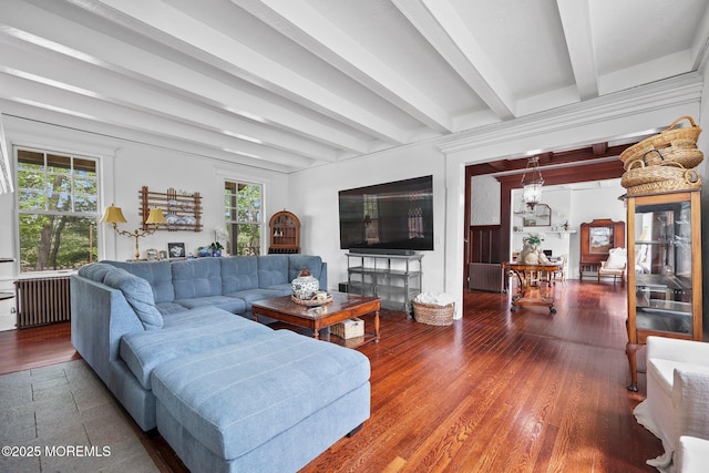 living area with beam ceiling, wood finished floors, and radiator heating unit