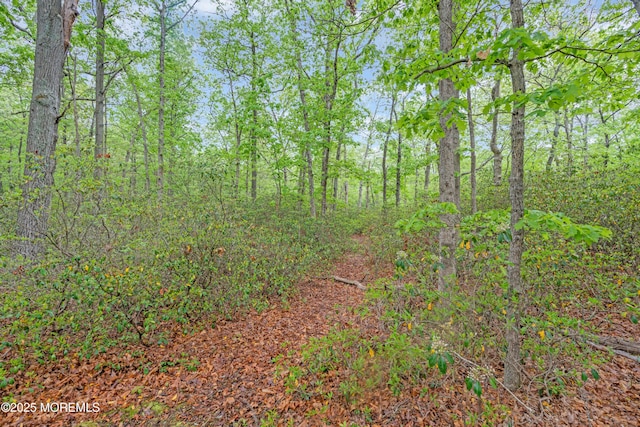 578 Petunia Ln N, Whiting, NJ 08759 - view of tree filled area