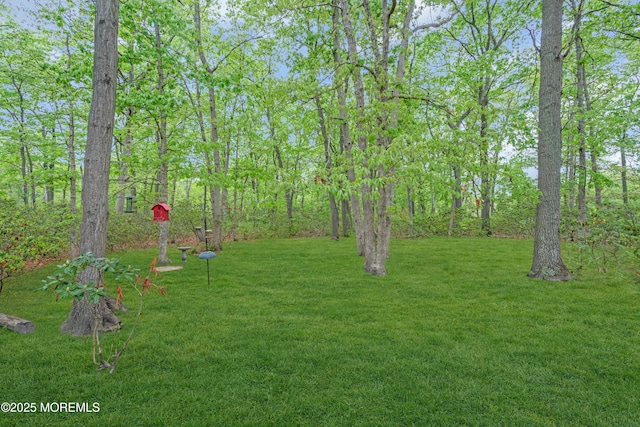 578 Petunia Ln N, Whiting, NJ 08759 - view of grassy yard