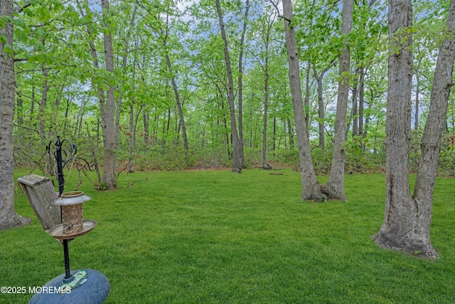 578 Petunia Ln N, Whiting, NJ 08759 - view of grassy yard