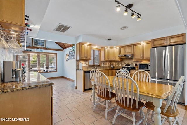 dining room with baseboards, plenty of natural light, and vaulted ceiling
