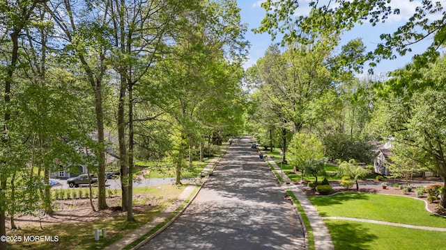 view of community featuring a yard
