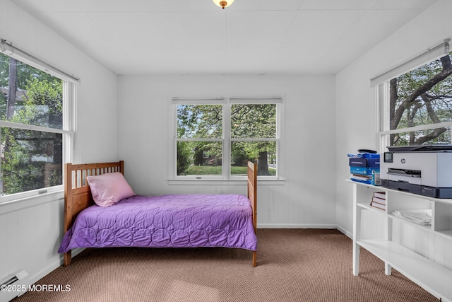 bedroom featuring a baseboard radiator, carpet, multiple windows, and baseboards