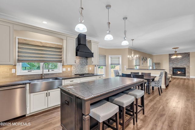 kitchen with appliances with stainless steel finishes, custom exhaust hood, a sink, a large fireplace, and healthy amount of natural light