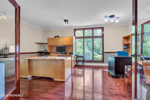 office area featuring crown molding, dark wood-style floors, and baseboards