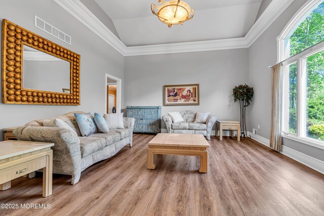 living room featuring plenty of natural light, a raised ceiling, light wood-style floors, a high ceiling, and crown molding