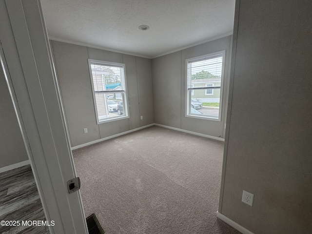 spare room featuring crown molding, healthy amount of natural light, baseboards, carpet floors, and a textured ceiling