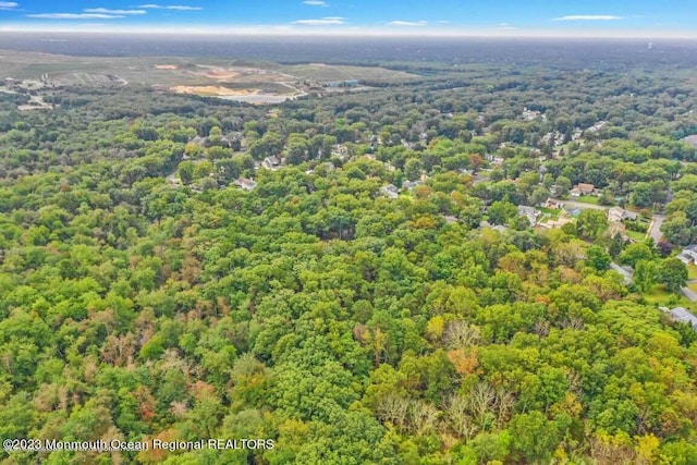 2557 Huckleberry Rd, Manchester, NJ 08759 - drone / aerial view of a forest