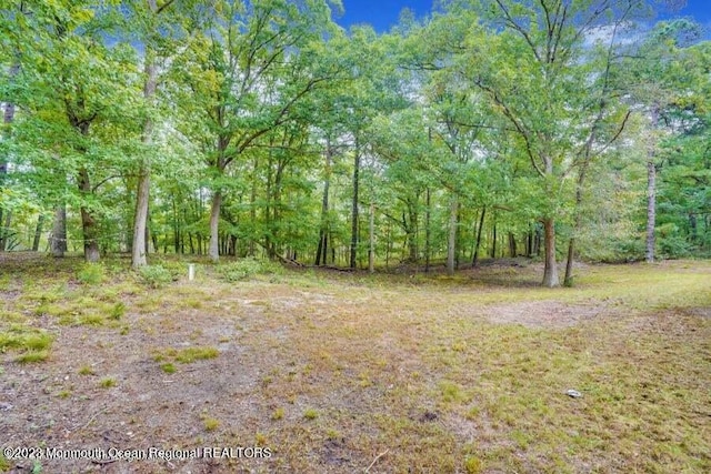 2557 Huckleberry Rd, Manchester, NJ 08759 - view of woods
