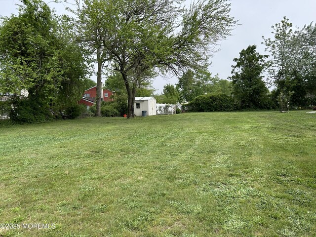 view of grassy yard with an outbuilding and a shed