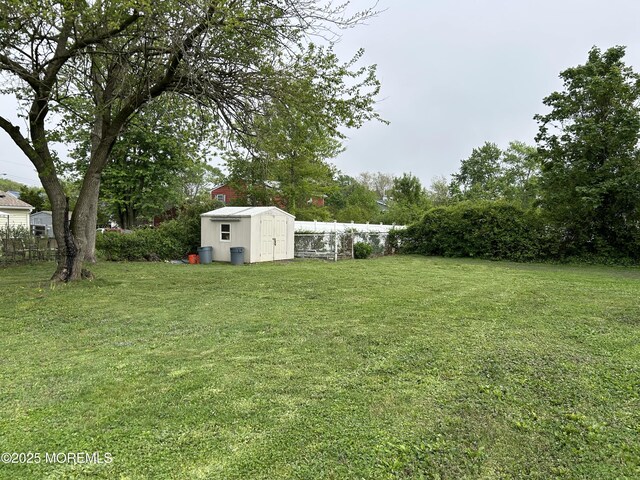view of yard featuring a storage shed and an outbuilding
