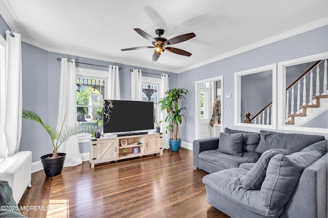 living area with radiator, ceiling fan, plenty of natural light, wood finished floors, and ornamental molding