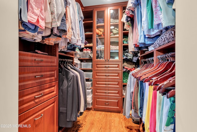 7 Seagull Ln, Lincroft, NJ 07738 - spacious closet with light wood finished floors