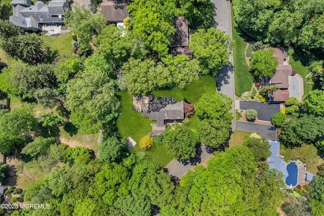 7 Seagull Ln, Lincroft, NJ 07738 - aerial perspective of suburban area