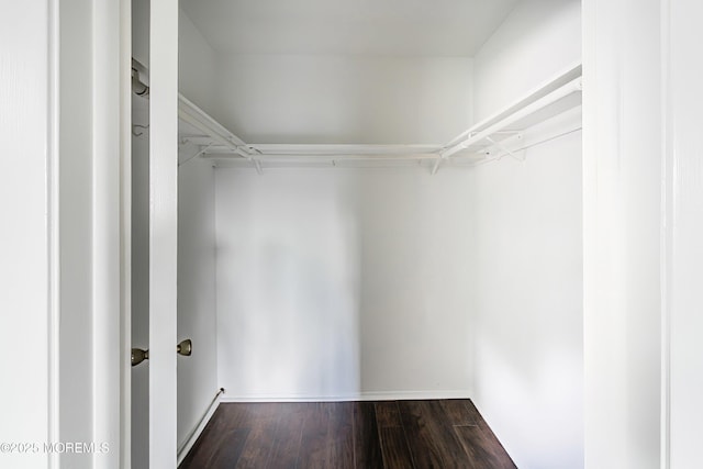spacious closet with dark wood-type flooring
