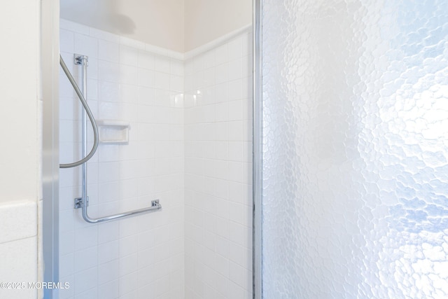bathroom featuring a shower stall