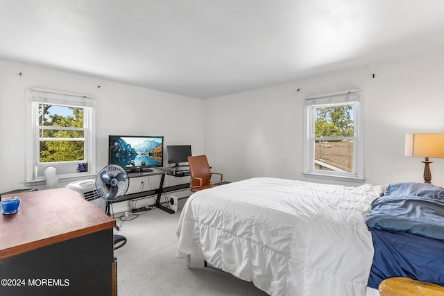 bedroom featuring carpet flooring and an office area