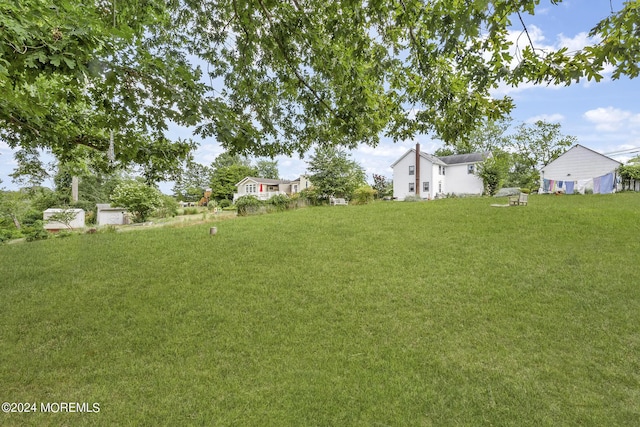 view of green lawn