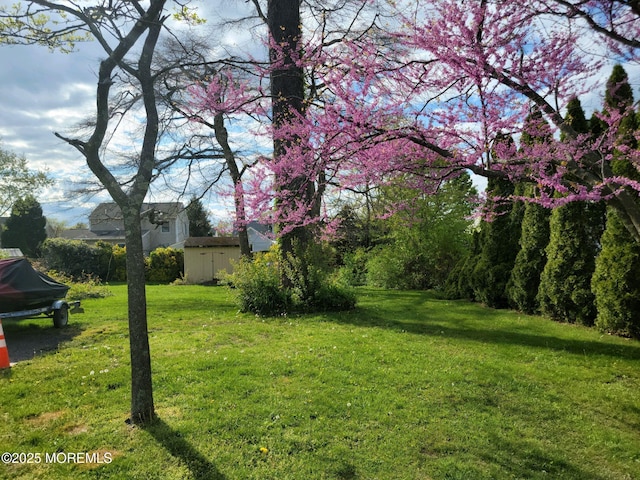 view of green lawn