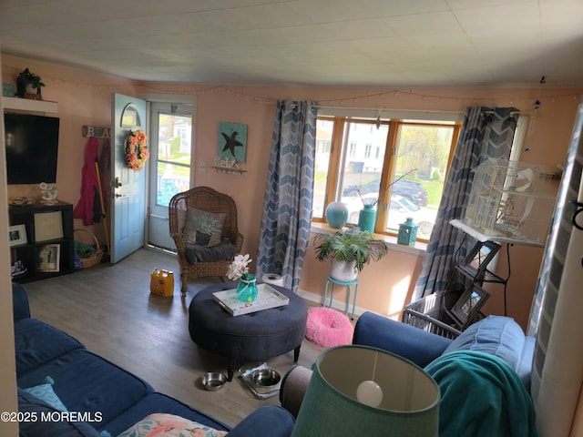 living area featuring wood finished floors