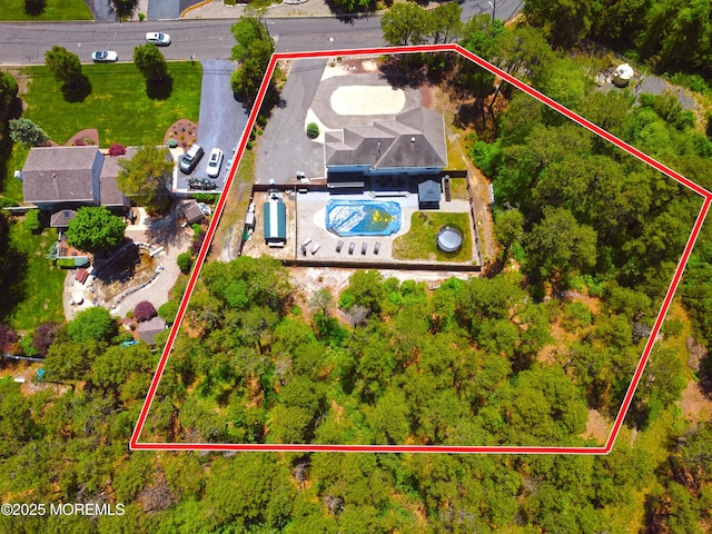 476 Birch Bark Dr, Brick, NJ 08723 - aerial overview of property's location with property boundaries highlighted and a pool area