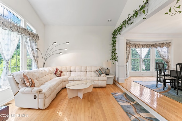 living area with plenty of natural light and hardwood / wood-style floors