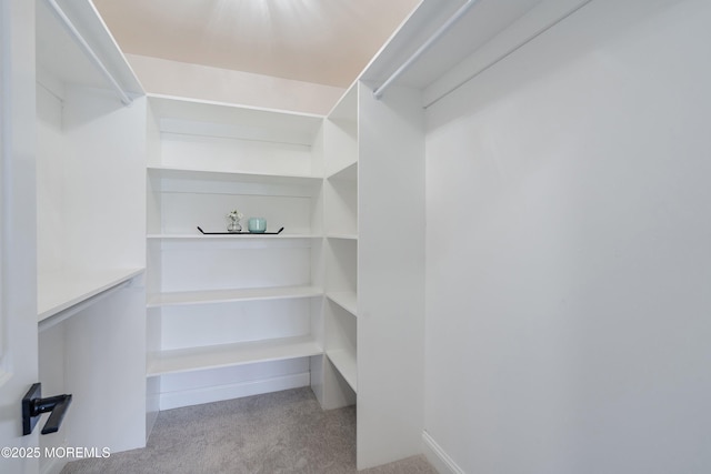 983 Cedar Grove Rd, Toms River, NJ 08753 - walk in closet featuring carpet flooring