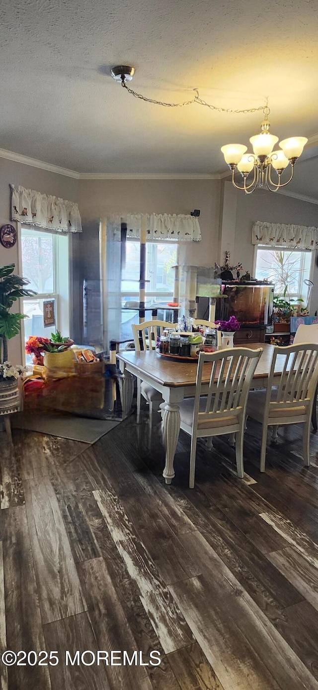 dining area with crown molding, hardwood / wood-style floors, a chandelier, healthy amount of natural light, and a textured ceiling