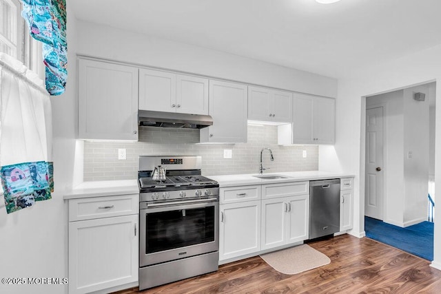22 Orchard Ct, Howell, NJ 07731 - kitchen featuring appliances with stainless steel finishes, under cabinet range hood, a sink, and light countertops