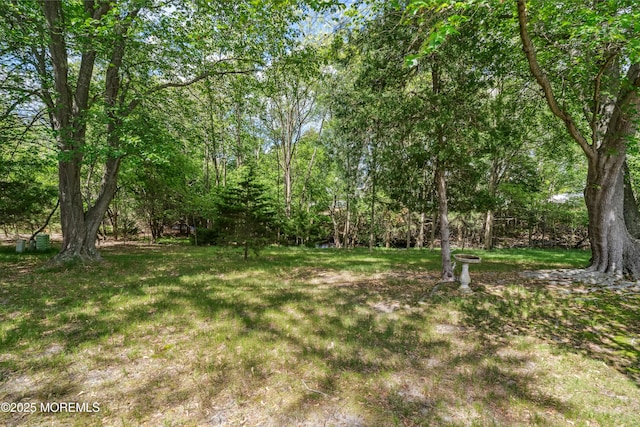 82 Fort De France Ave, Toms River, NJ 08757 - photo 24