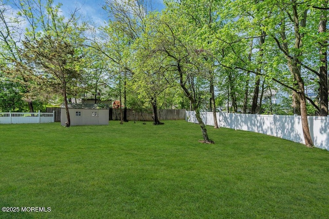 view of yard featuring an outbuilding and a storage unit